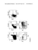 Transgenic Immunodeficient Mouse Expressing Human SIRP-alpha diagram and image