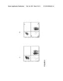 Transgenic Immunodeficient Mouse Expressing Human SIRP-alpha diagram and image