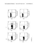 Transgenic Immunodeficient Mouse Expressing Human SIRP-alpha diagram and image