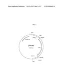 PROCESS FOR THE PURIFICATION OF RECOMBINANT ALBUMIN diagram and image