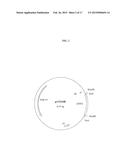 PROCESS FOR THE PURIFICATION OF RECOMBINANT ALBUMIN diagram and image