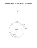 PROCESS FOR THE PURIFICATION OF RECOMBINANT ALBUMIN diagram and image