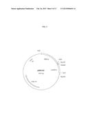 PROCESS FOR THE PURIFICATION OF RECOMBINANT ALBUMIN diagram and image