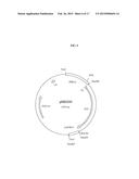 PROCESS FOR THE PURIFICATION OF RECOMBINANT ALBUMIN diagram and image