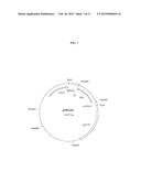 PROCESS FOR THE PURIFICATION OF RECOMBINANT ALBUMIN diagram and image