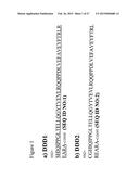 Methods for Generating Stably Linked Complexes Composed of Homodimers,     Homotetramers or Dimers of Dimers and Uses diagram and image