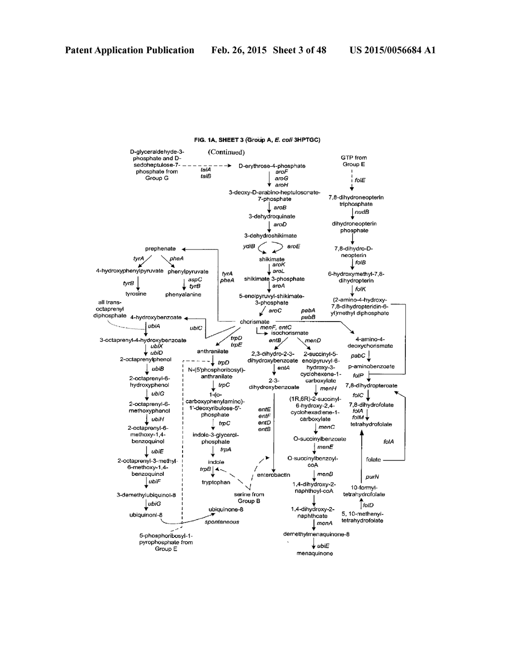 METHODS, SYSTEMS, AND COMPOSITIONS FOR INCREASED MICROORGANISM TOLERANCE     TO AND PRODUCTION OF 3-HYDROXYPROPIONIC ACID (3-HP) - diagram, schematic, and image 04