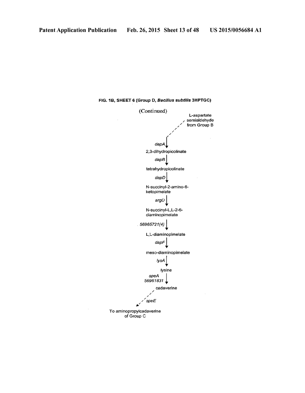 METHODS, SYSTEMS, AND COMPOSITIONS FOR INCREASED MICROORGANISM TOLERANCE     TO AND PRODUCTION OF 3-HYDROXYPROPIONIC ACID (3-HP) - diagram, schematic, and image 14