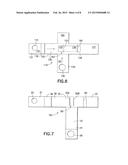 Dual Path Immunoassay Device diagram and image