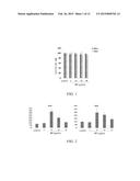 METHOD AND KIT FOR CULTURING STEM CELLS diagram and image