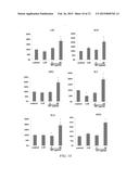 METHOD AND KIT FOR CULTURING STEM CELLS diagram and image