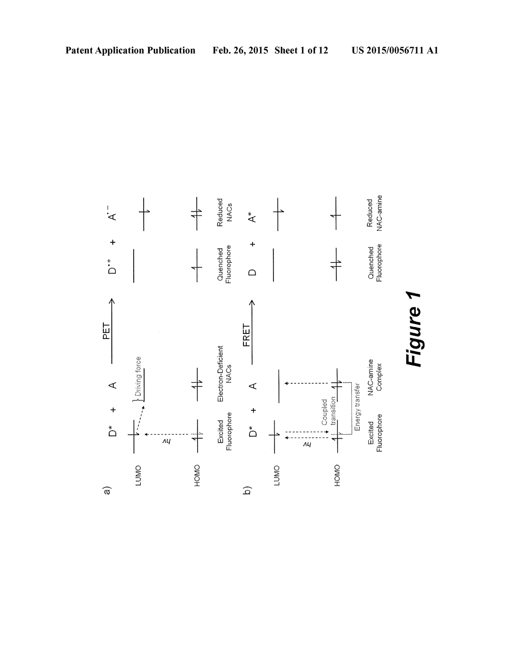 Explosive Detection Polymer Comprising Functionalized Polyamine Polymers     and Methods of Using the Same - diagram, schematic, and image 02