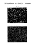 ULTRA HIGH VOID VOLUME POLISHING PAD WITH CLOSED PORE STRUCTURE diagram and image