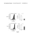 HIGH-RESOLUTION TRANSCRIPTOME OF HUMAN MACROPHAGES diagram and image