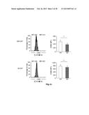 HIGH-RESOLUTION TRANSCRIPTOME OF HUMAN MACROPHAGES diagram and image