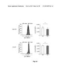 HIGH-RESOLUTION TRANSCRIPTOME OF HUMAN MACROPHAGES diagram and image