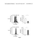 HIGH-RESOLUTION TRANSCRIPTOME OF HUMAN MACROPHAGES diagram and image