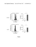 HIGH-RESOLUTION TRANSCRIPTOME OF HUMAN MACROPHAGES diagram and image