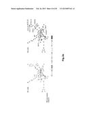 HIGH-RESOLUTION TRANSCRIPTOME OF HUMAN MACROPHAGES diagram and image