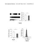 HIGH-RESOLUTION TRANSCRIPTOME OF HUMAN MACROPHAGES diagram and image