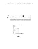 HIGH-RESOLUTION TRANSCRIPTOME OF HUMAN MACROPHAGES diagram and image