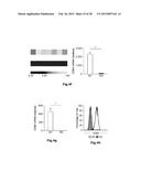 HIGH-RESOLUTION TRANSCRIPTOME OF HUMAN MACROPHAGES diagram and image