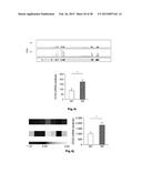 HIGH-RESOLUTION TRANSCRIPTOME OF HUMAN MACROPHAGES diagram and image