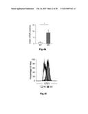 HIGH-RESOLUTION TRANSCRIPTOME OF HUMAN MACROPHAGES diagram and image