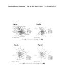 HIGH-RESOLUTION TRANSCRIPTOME OF HUMAN MACROPHAGES diagram and image