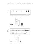 HIGH-RESOLUTION TRANSCRIPTOME OF HUMAN MACROPHAGES diagram and image