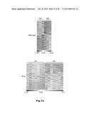 HIGH-RESOLUTION TRANSCRIPTOME OF HUMAN MACROPHAGES diagram and image