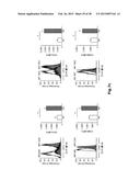 HIGH-RESOLUTION TRANSCRIPTOME OF HUMAN MACROPHAGES diagram and image