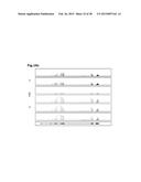 HIGH-RESOLUTION TRANSCRIPTOME OF HUMAN MACROPHAGES diagram and image