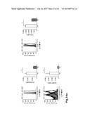 HIGH-RESOLUTION TRANSCRIPTOME OF HUMAN MACROPHAGES diagram and image