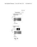 SYSTEMS AND METHODS FOR EPIGENETIC SEQUENCING diagram and image
