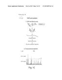 SYSTEMS AND METHODS FOR EPIGENETIC SEQUENCING diagram and image