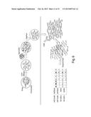 SYSTEMS AND METHODS FOR EPIGENETIC SEQUENCING diagram and image