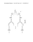 SYSTEMS AND METHODS FOR EPIGENETIC SEQUENCING diagram and image