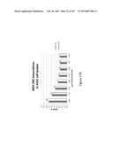 Methods and Kits for Analyzing Biomarkers in a Signal Transduction Pathway diagram and image