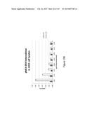 Methods and Kits for Analyzing Biomarkers in a Signal Transduction Pathway diagram and image