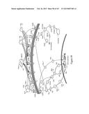 Methods and Kits for Analyzing Biomarkers in a Signal Transduction Pathway diagram and image