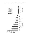 Methods and Kits for Analyzing Biomarkers in a Signal Transduction Pathway diagram and image