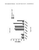 Methods and Kits for Analyzing Biomarkers in a Signal Transduction Pathway diagram and image