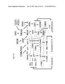 Methods and Kits for Analyzing Biomarkers in a Signal Transduction Pathway diagram and image