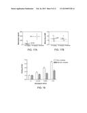 ANTIDOTES FOR FACTOR XA INHIBITORS AND METHODS OF USING THE SAME diagram and image