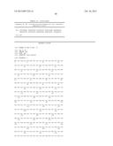 ANTIDOTES FOR FACTOR XA INHIBITORS AND METHODS OF USING THE SAME diagram and image