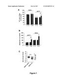 Use of Engrailed Proteins for Increasing Dopamine Synthesis by     Dopaminergic Neurons diagram and image