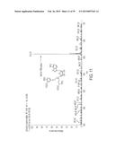 Compositions and Methods for the Inhibition of Methyltransferases diagram and image