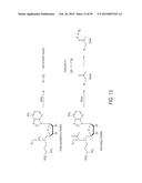 Compositions and Methods for the Inhibition of Methyltransferases diagram and image