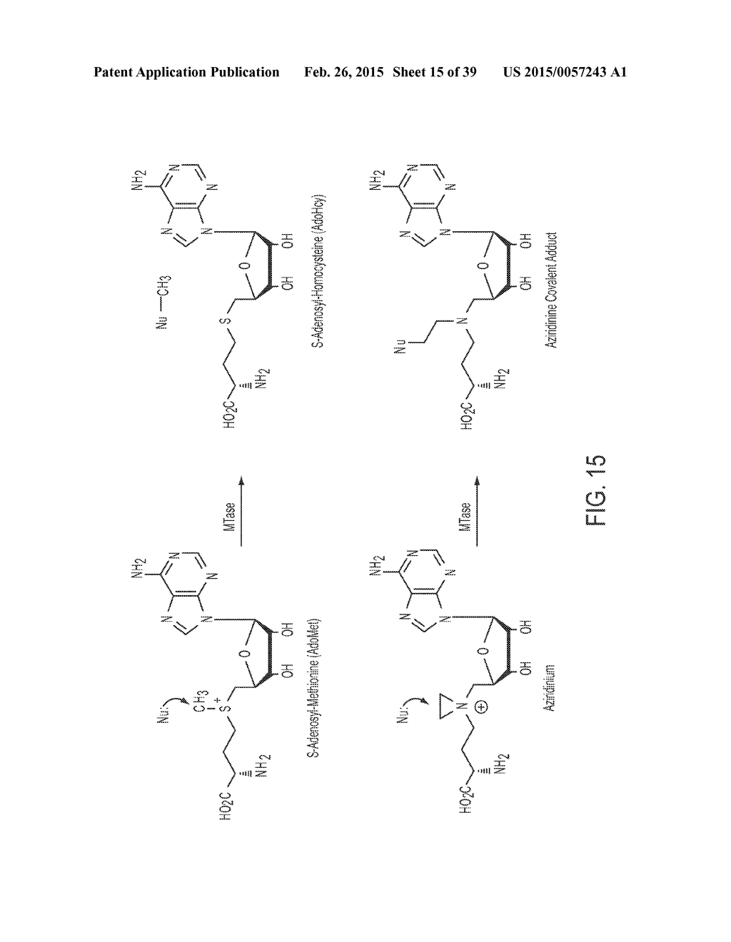 Compositions and Methods for the Inhibition of Methyltransferases - diagram, schematic, and image 16
